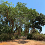 Terreno à venda em Recreio Anhangüera, Ribeirão Preto, SP
