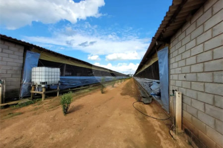 Chácara à venda com 3 quartos, sendo 1 suíte, em Cercadinho, Alambari, SP