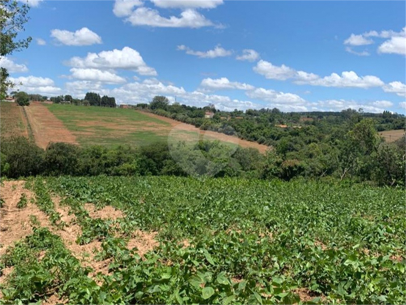Área de Terra à venda em Cristóvão, Araçoiaba da Serra, SP