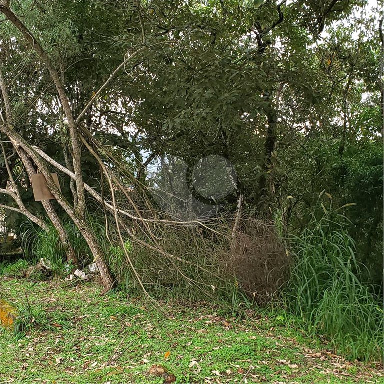 Terreno à venda em Serra da Cantareira, Mairiporã, SP