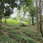 Sítio à venda com 6 quartos, sendo 5 suítes, em Área Rural de Itapetininga, Itapetininga, SP