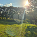 Terreno à venda no condomínio Vivenda do Lago, Sorocaba - SP