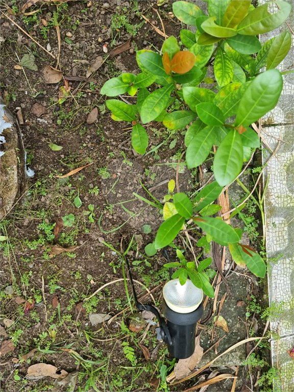 Chácara à venda com 4 quartos em Aguapeú, Itanhaém, SP