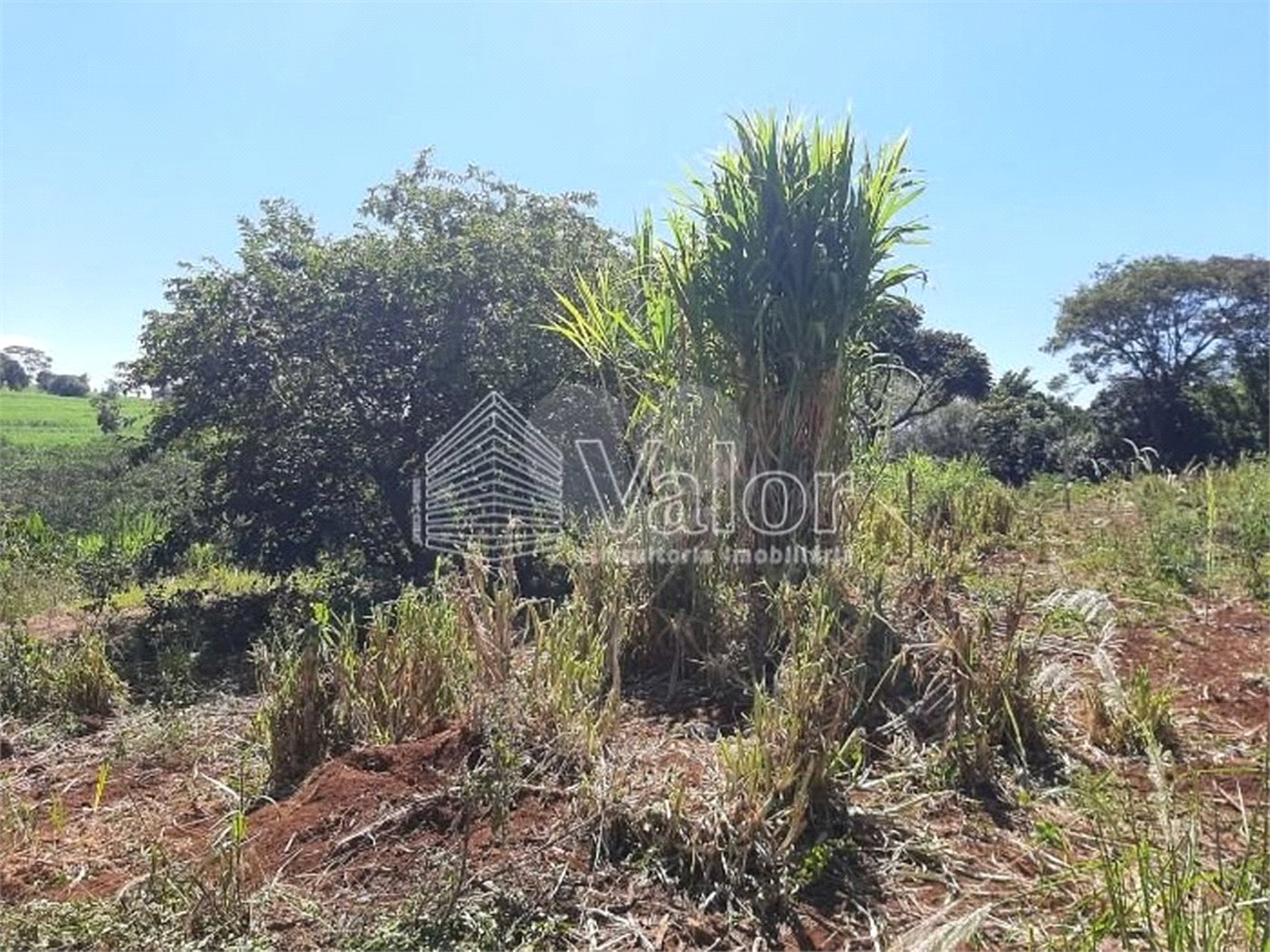 Sitio São João - Km 258