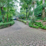 Casa à venda com 4 suítes no condomínio Chácara Flora, São Paulo - SP