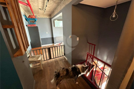Apartamento à venda com 3 quartos, sendo 1 suíte, em Chácara Califórnia, São Paulo, SP