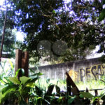 Terreno à venda em Santana, São Paulo, SP