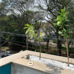 Casa à venda com 4 suítes em Santana, São Paulo, SP