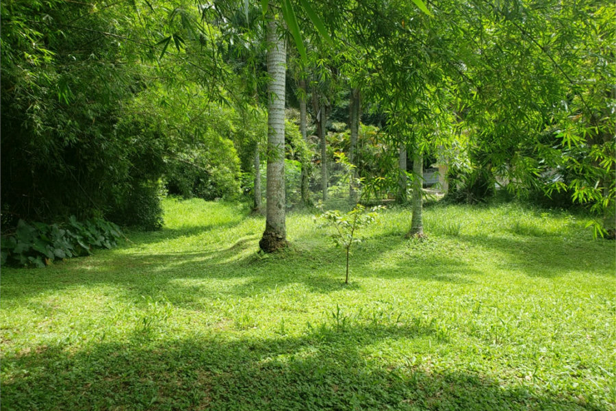 Terreno à venda em Horto, São Paulo, SP