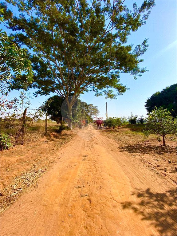 Sítio na cidade de Taiuva-SP.