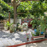 Sitio para venda.