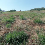 Terreno à venda com 1 suíte em Jardim Portugal, Valinhos, SP