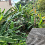 Terreno à venda em Santana, São Paulo, SP