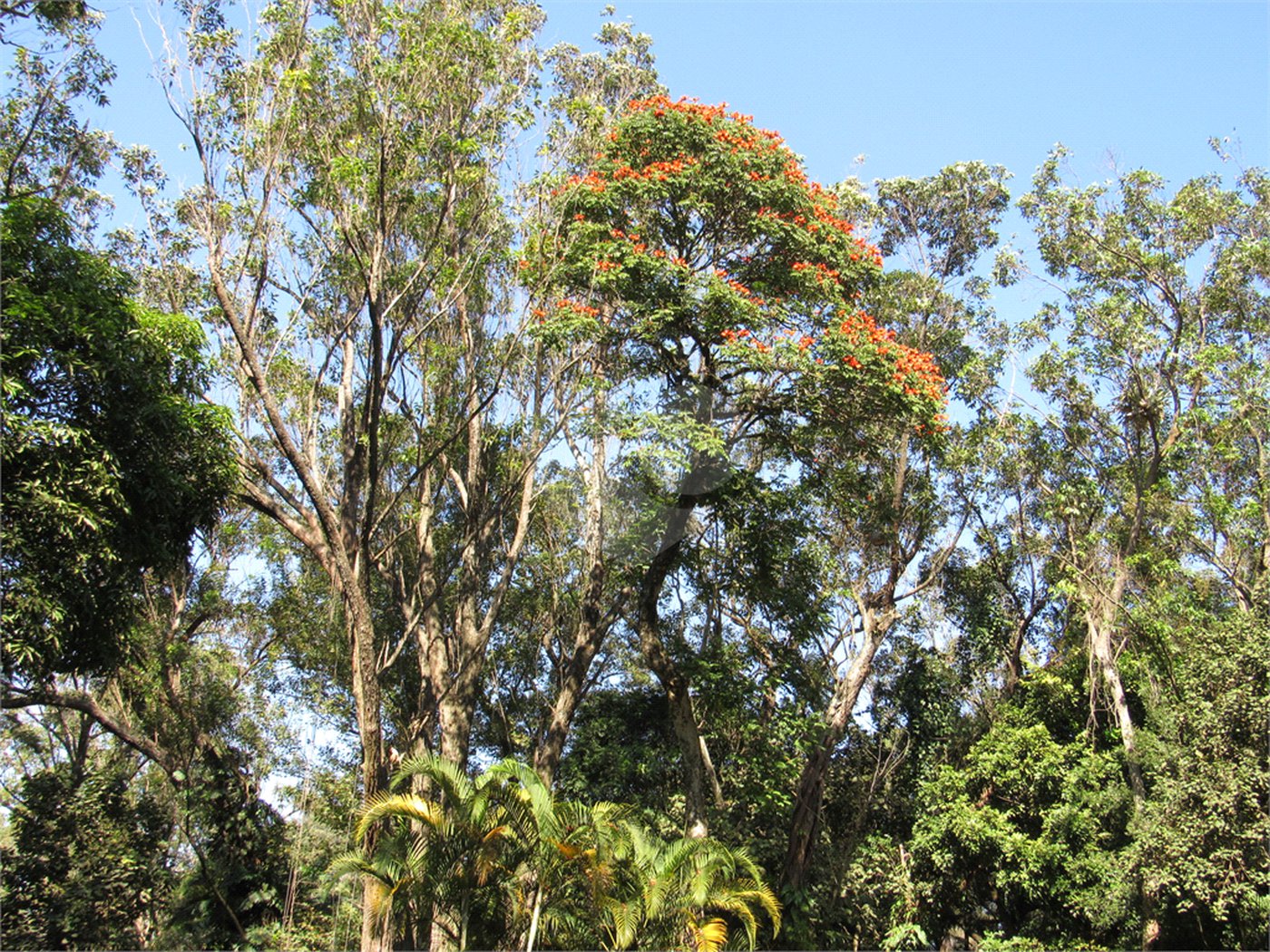 Terreno à venda em Chácara Flora, São Paulo, SP