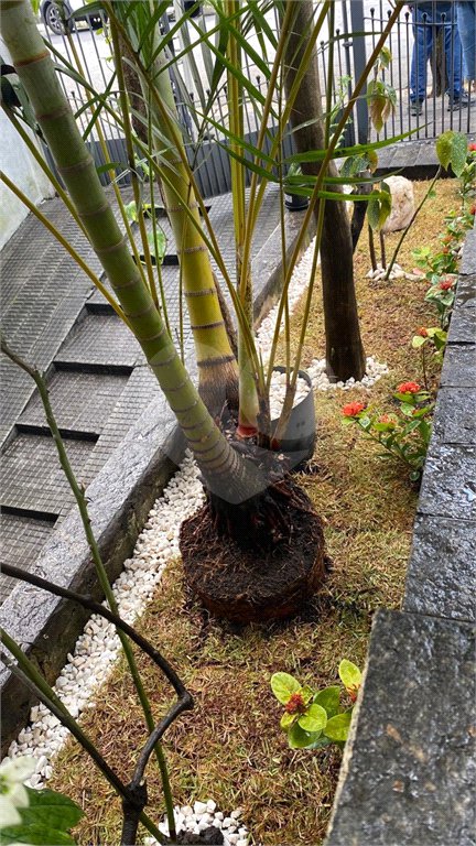 Sobrado à venda com 3 quartos, sendo 1 suíte, em Saúde, São Paulo, SP