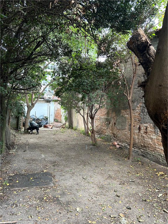 Terreno à venda ou para alugar em Perdizes, São Paulo, SP