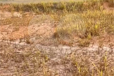 Terreno à venda no condomínio Mosaico Horizontes, Mogi das Cruzes - SP
