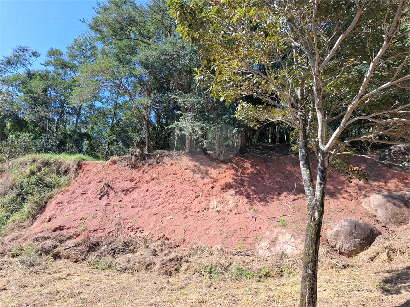 Terreno à venda em Horto Florestal, São Paulo, SP