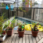 Apartamento à venda com 3 quartos, sendo 1 suíte, em Vila Andrade, São Paulo, SP