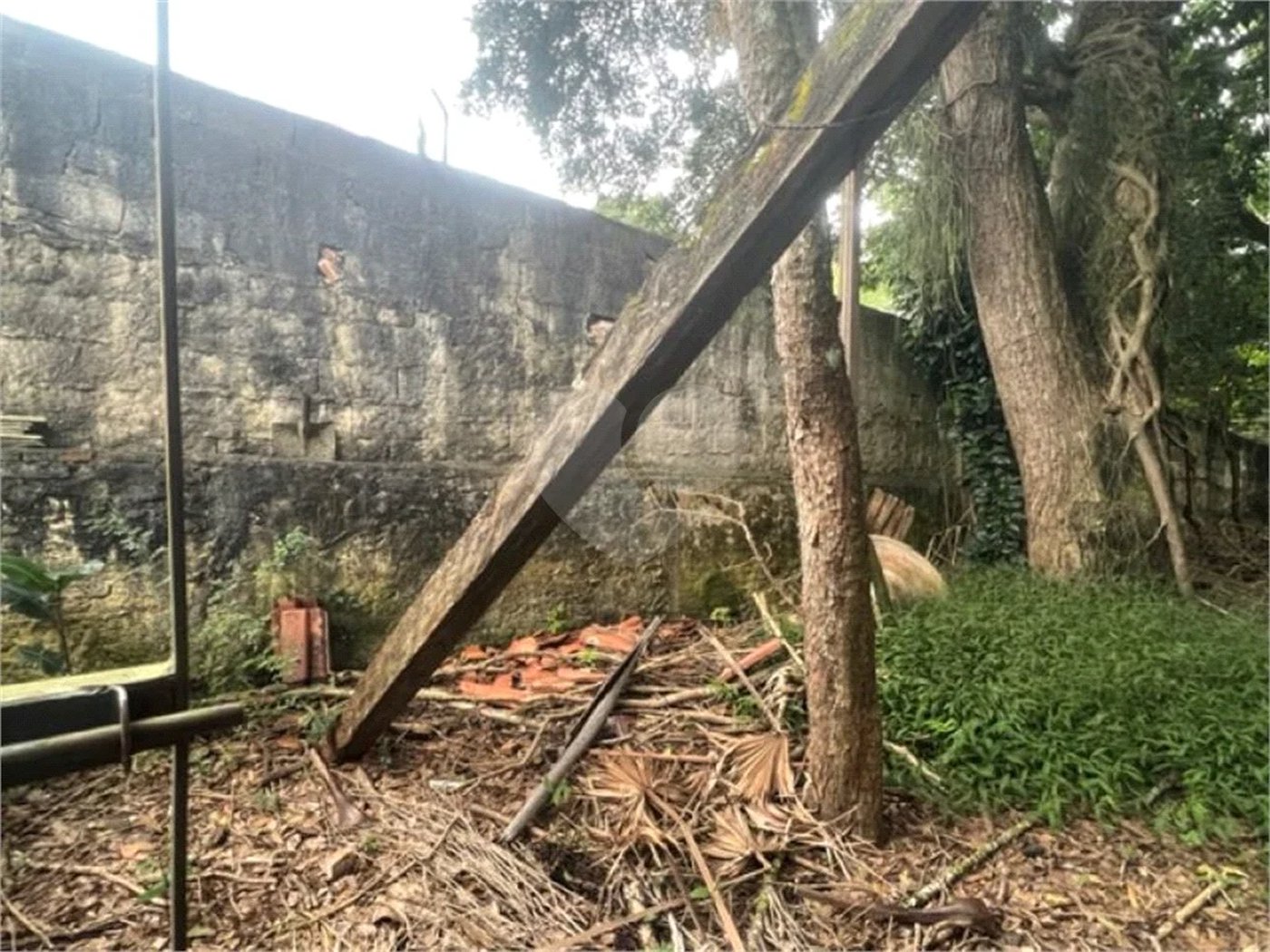 Vendo Terreno de 290m2 rua do Horto para sua casa ou investimento