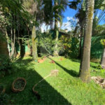 Casa à venda com 4 suítes em Jardim Floresta, São Paulo, SP