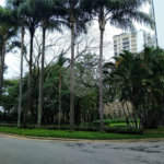 Cobertura para alugar com 5 suítes em Alto da Boa Vista, São Paulo, SP