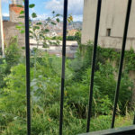 Sobrado à venda com 3 quartos em Vila Nova Cachoeirinha, São Paulo, SP