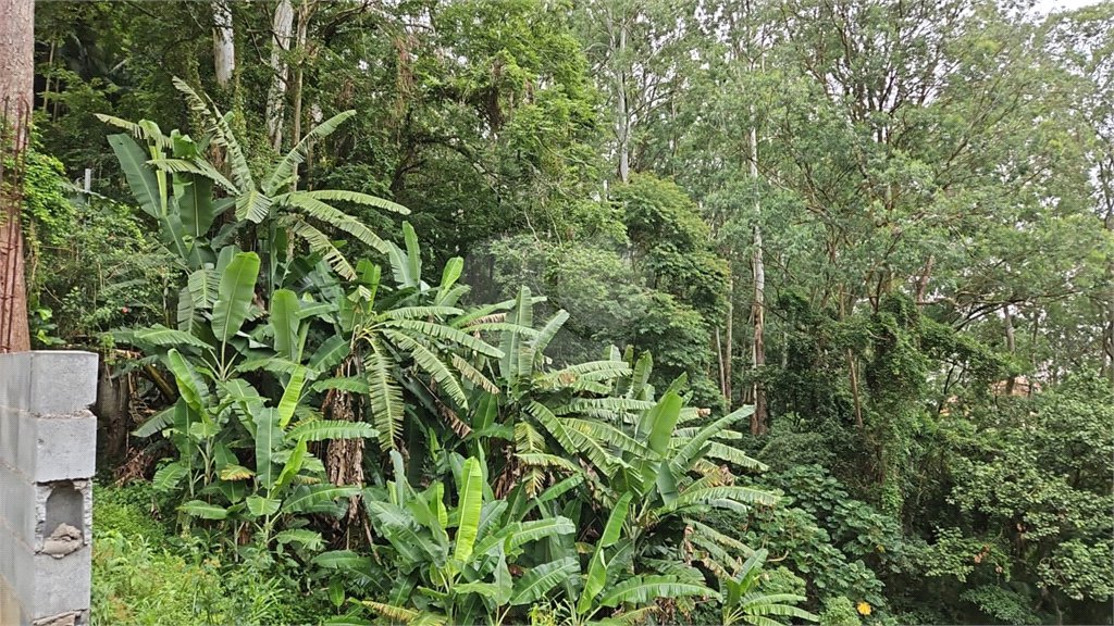 Terreno à venda em Vila Albertina, São Paulo, SP