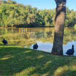 Casa à venda com 3 quartos, sendo 1 suíte, no condomínio Reserva Ipanema I, Sorocaba - SP