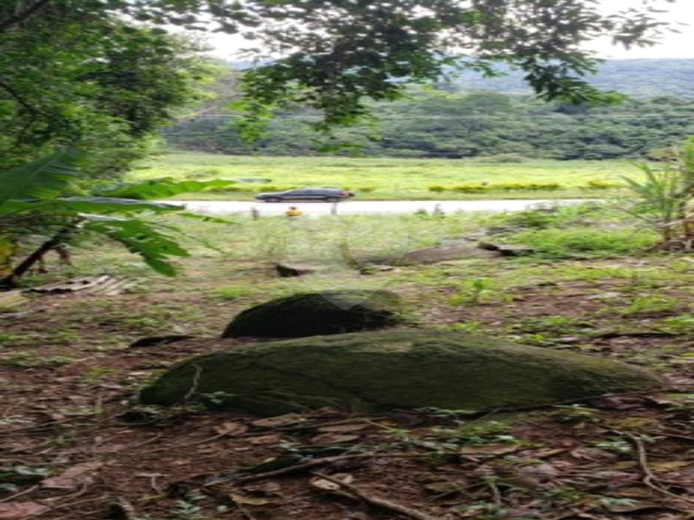 Terreno à venda em Horto, São Paulo, SP