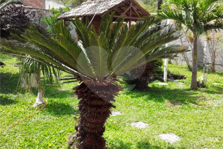 Casa à venda com 3 quartos em José Gonçalves, Armação dos Búzios, RJ