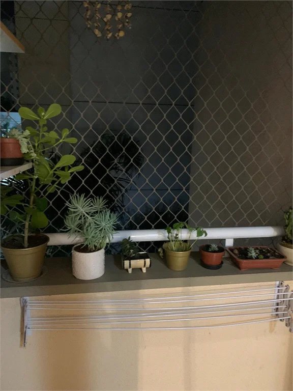 Apartamento à venda com 2 quartos em Paraisópolis, São Paulo, SP