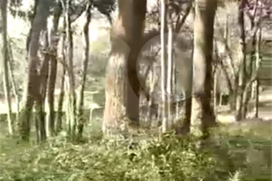 Terreno à venda em Luiz Fagundes, Mairiporã, SP