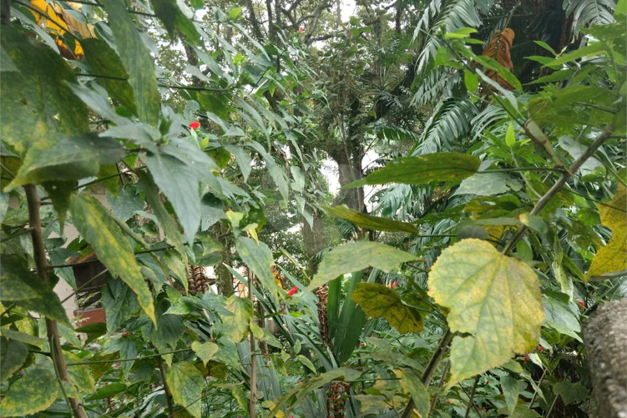 Terreno à venda em Horto, São Paulo, SP