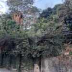 Terreno à venda em Vila Gustavo, São Paulo, SP