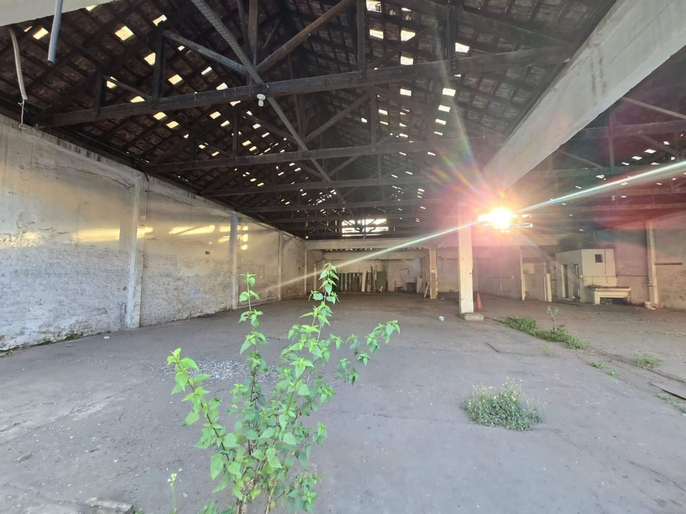 Terreno à venda, 1220 m² por R$ 6.000.000,00 - Macuco - Santos/SP