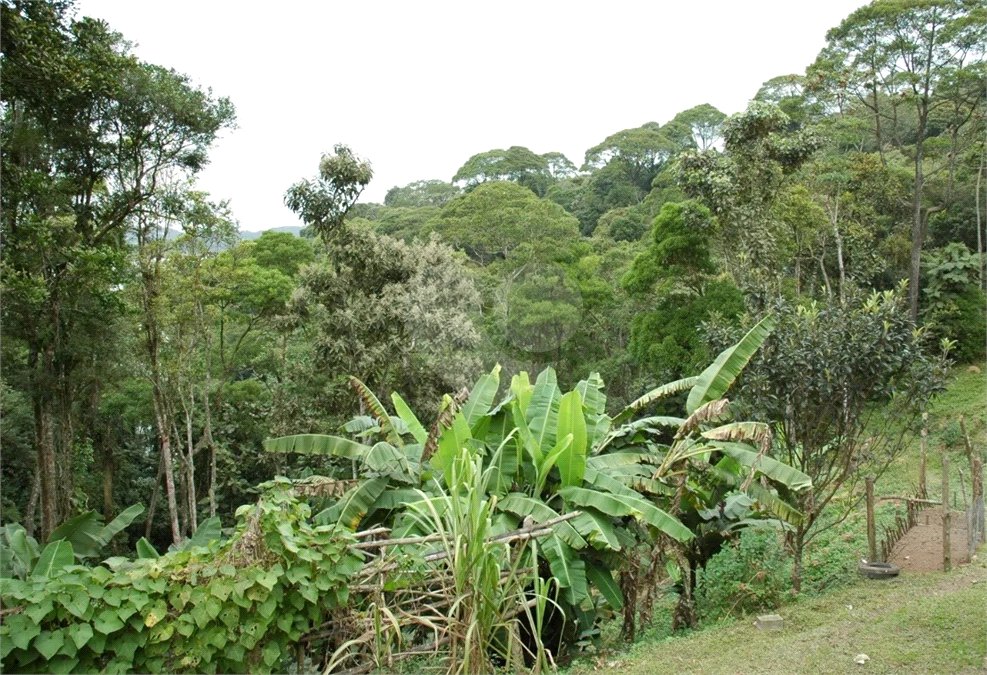 Terreno à venda em Rio Grande, São Bernardo do Campo, SP