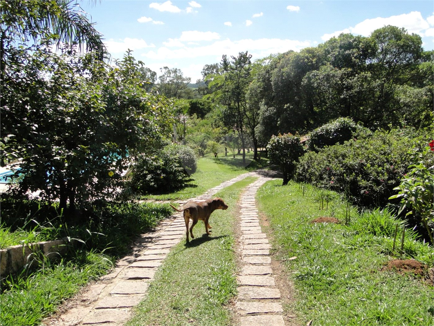 Chácara à venda com 2 quartos, sendo 1 suíte, em Santa Cândida, Vinhedo, SP