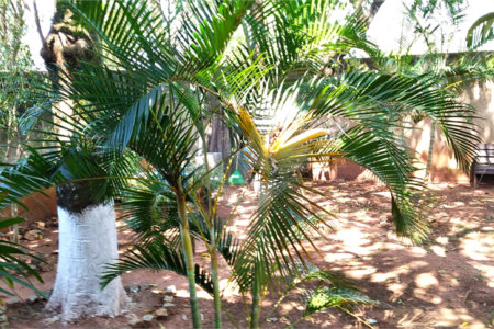 Chácara à venda com 2 quartos no Centro, Araçoiaba da Serra, SP