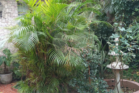 Casa à venda com 4 quartos em Jardim da Glória, São Paulo, SP