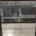 Sobrado à venda com 2 quartos em Tremembé, São Paulo, SP
