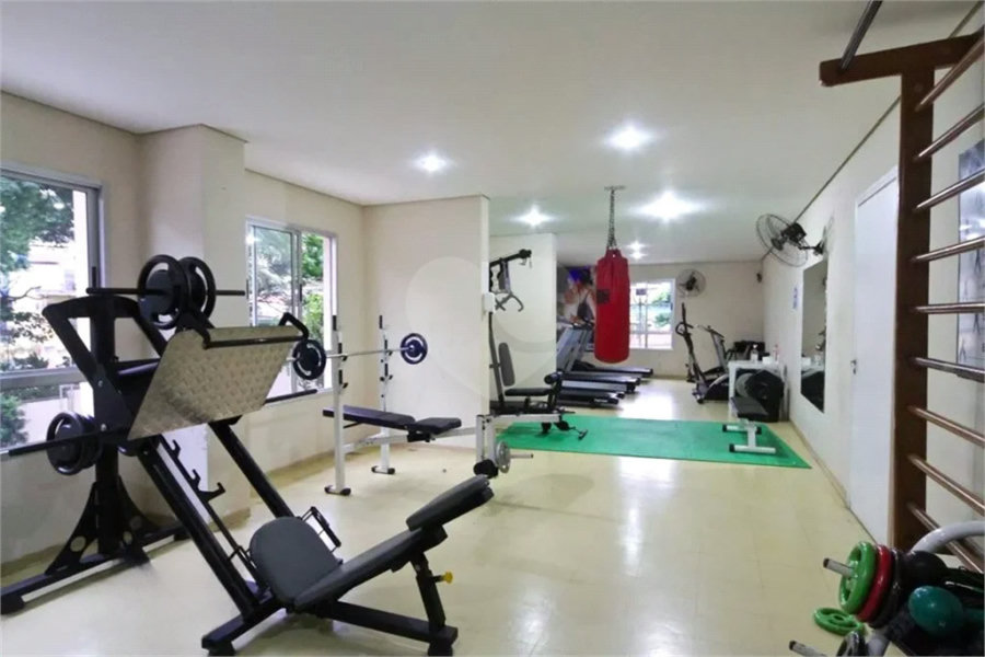 Apartamento à venda com 3 quartos em Vila Nova Cachoeirinha, São Paulo, SP