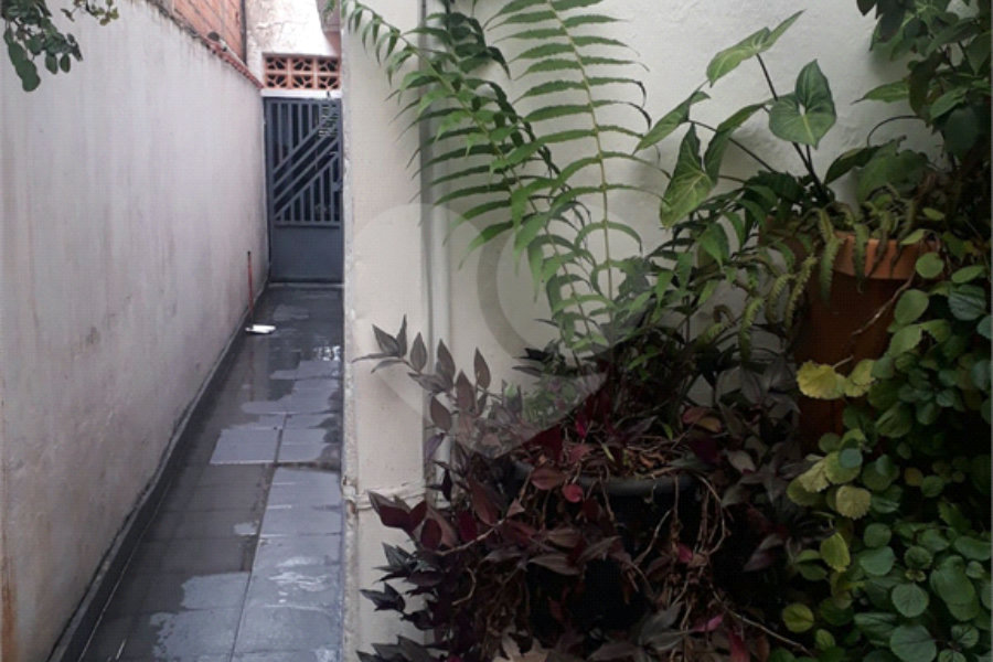 Sobrado à venda com 5 quartos, sendo 1 suíte, em Vila Guilherme, São Paulo, SP