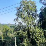 Terreno à venda em Serra da Cantareira, Mairiporã, SP
