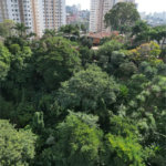 Terreno à venda em Paraisópolis, São Paulo, SP
