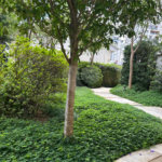 Apartamento para alugar com 3 quartos, sendo 1 suíte, em Pinheiros, São Paulo, SP