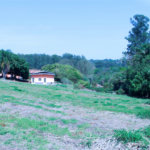 Sítio à venda com 8 quartos em Parque Rio Abaixo, Atibaia, SP