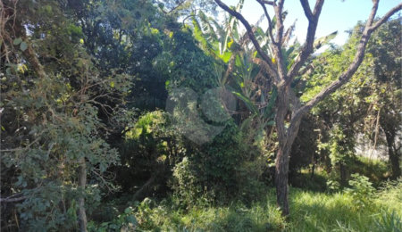 Terreno à venda em Jardim Paulista, Atibaia, SP