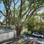 Sobrado à venda com 3 quartos em Indianópolis, São Paulo, SP