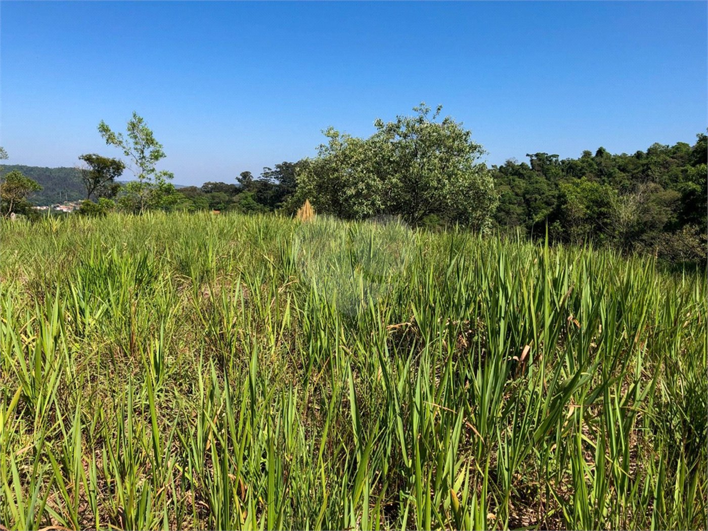 Terreno à venda em Bairro do Cambará, São Roque, SP